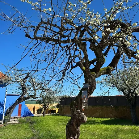 Casa De St Antonio Murtosa